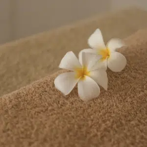 Massage Middelrode Berlicum